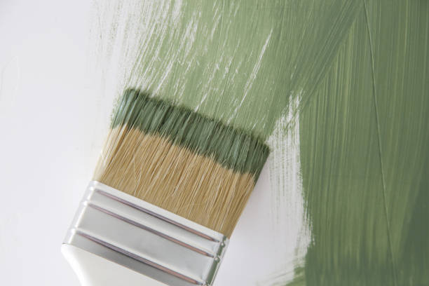 Best Black Mold Removal  in Kiel, WI