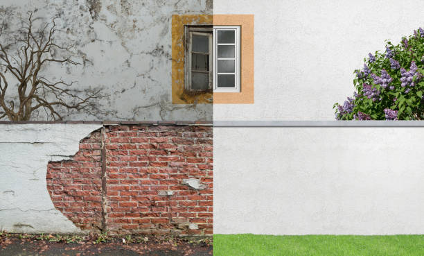 Best Emergency Mold Remediation  in Kiel, WI