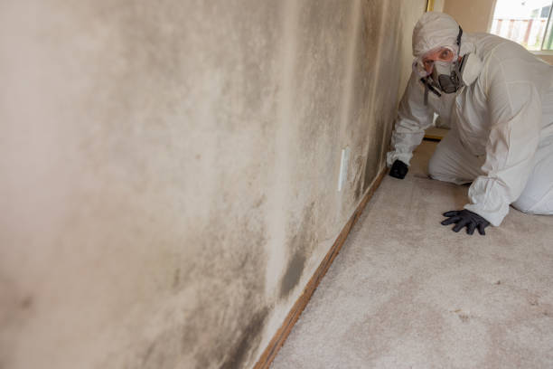 Kiel, WI Mold Removal Company