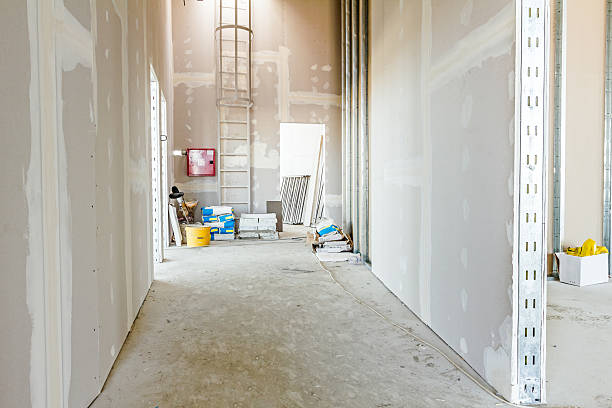 Best Commercial Mold Inspection  in Kiel, WI